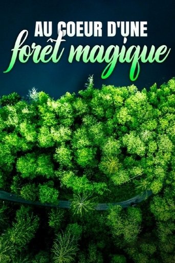 Poster of Au cœur d'une forêt magique