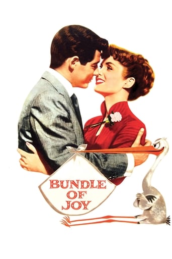 Poster of Bundle of Joy
