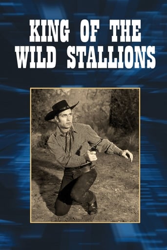 Poster of King of the Wild Stallions