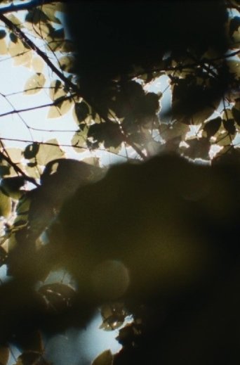 Poster of sunspots, burnt into my heart