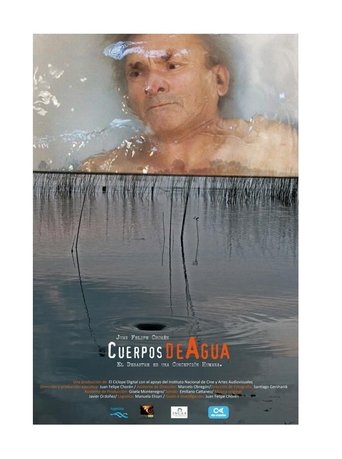 Poster of Cuerpos de agua