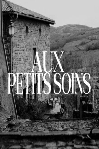 Poster of Aux Petits Soins