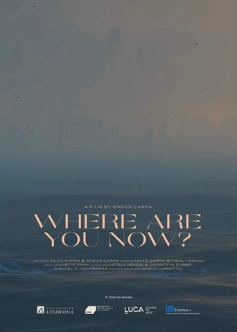 Where Are You Now? Poster of Where Are You Now?