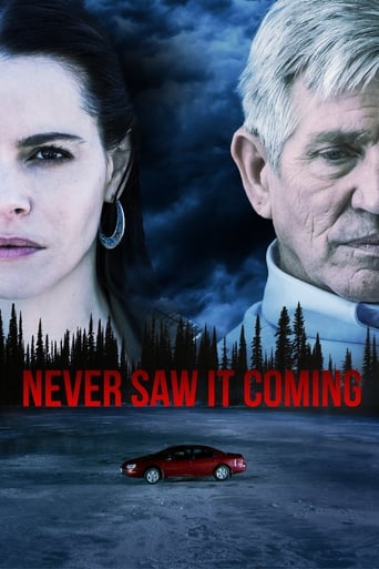 Poster of Never Saw It Coming