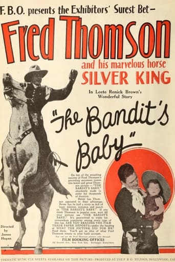 Poster of The Bandit's Baby