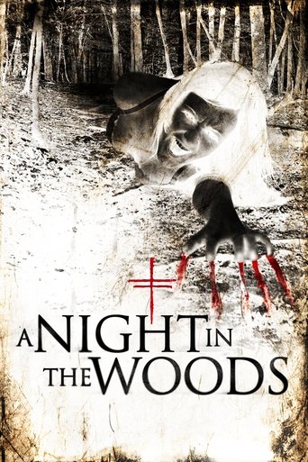 Poster of A Night in the Woods