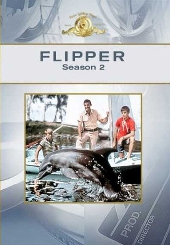 Portrait for Flipper - Season 2