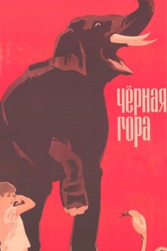 Poster of Black Mountain