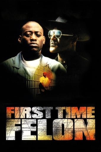 Poster of First Time Felon