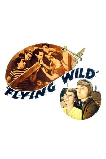Poster of Flying Wild