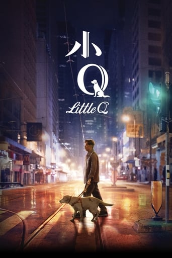 Poster of Little Q