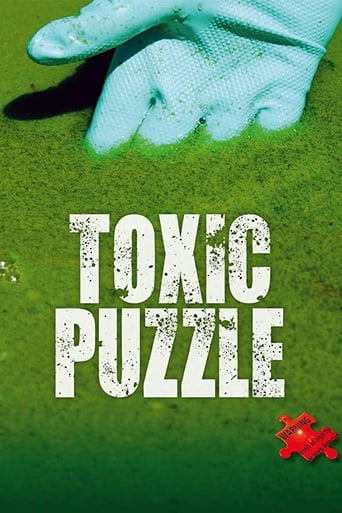 Poster of Toxic Puzzle
