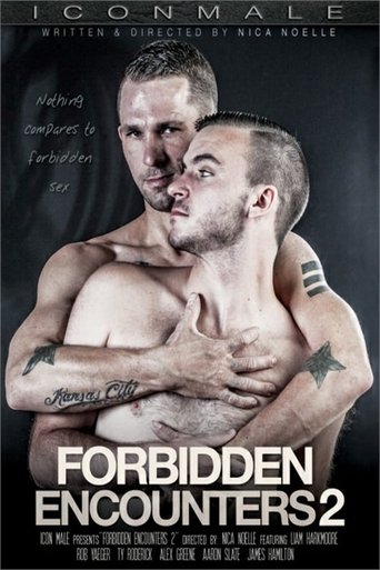 Forbidden Encounters 2 Poster of Forbidden Encounters 2