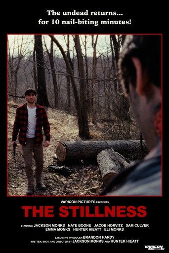 Poster of The Stillness