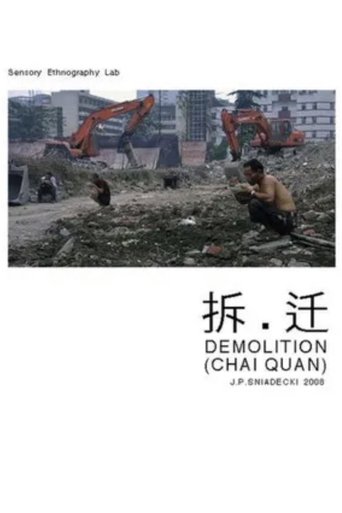 Demolition Poster of Demolition