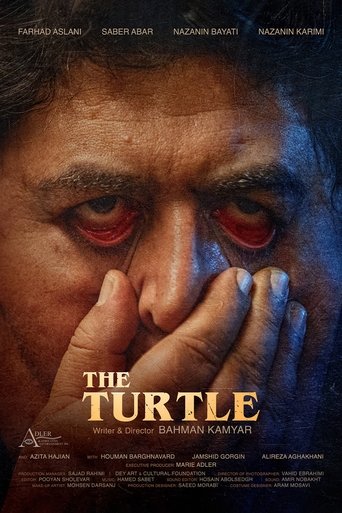 Poster of The Turtle