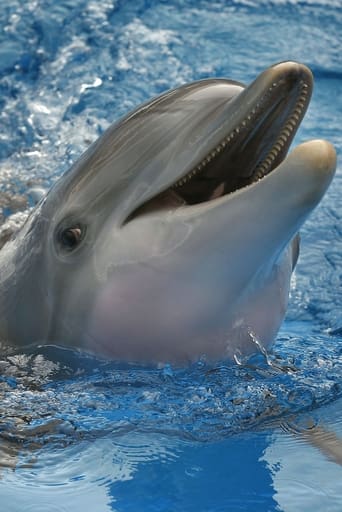 Portrait of Winter The Dolphin