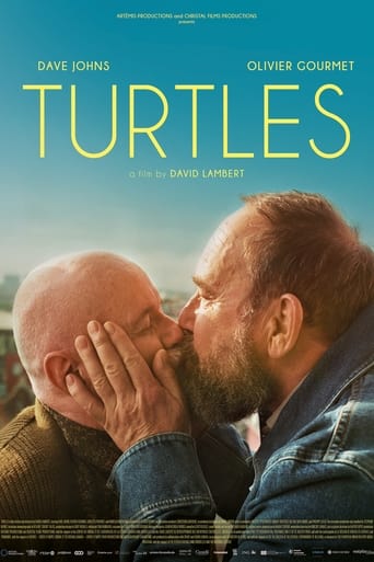 Poster of Turtles