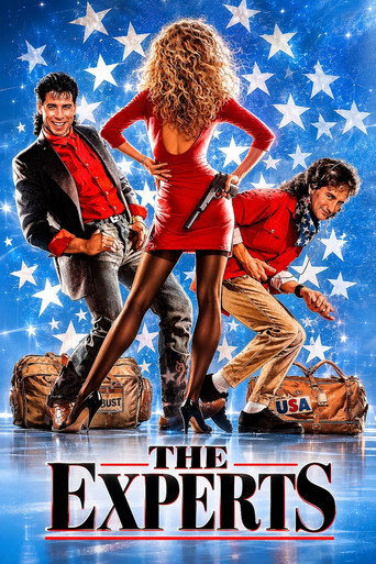 Poster of The Experts