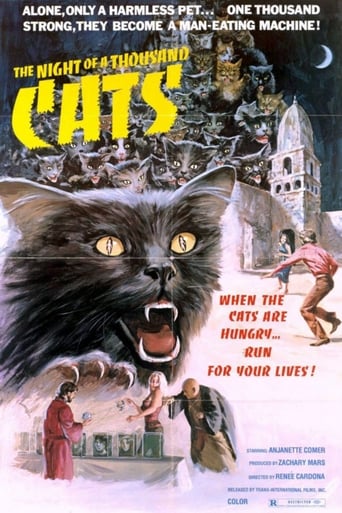 Poster of The Night of a Thousand Cats