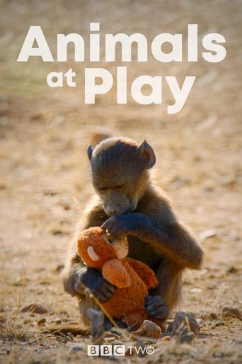 Animals at Play Poster of Animals at Play