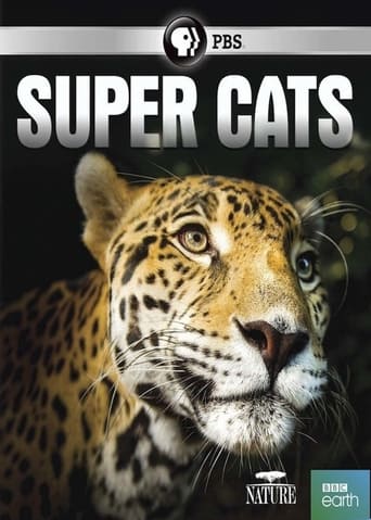 Poster of Super Cats