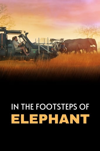 Poster of In the Footsteps of Elephant