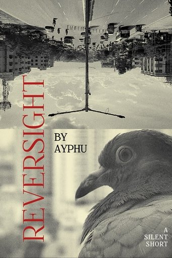 Reversight Poster of Reversight