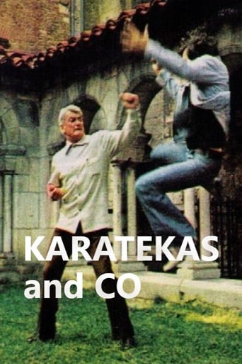 Poster of Karatékas and Co