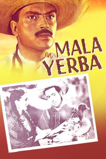 Poster of Mala yerba