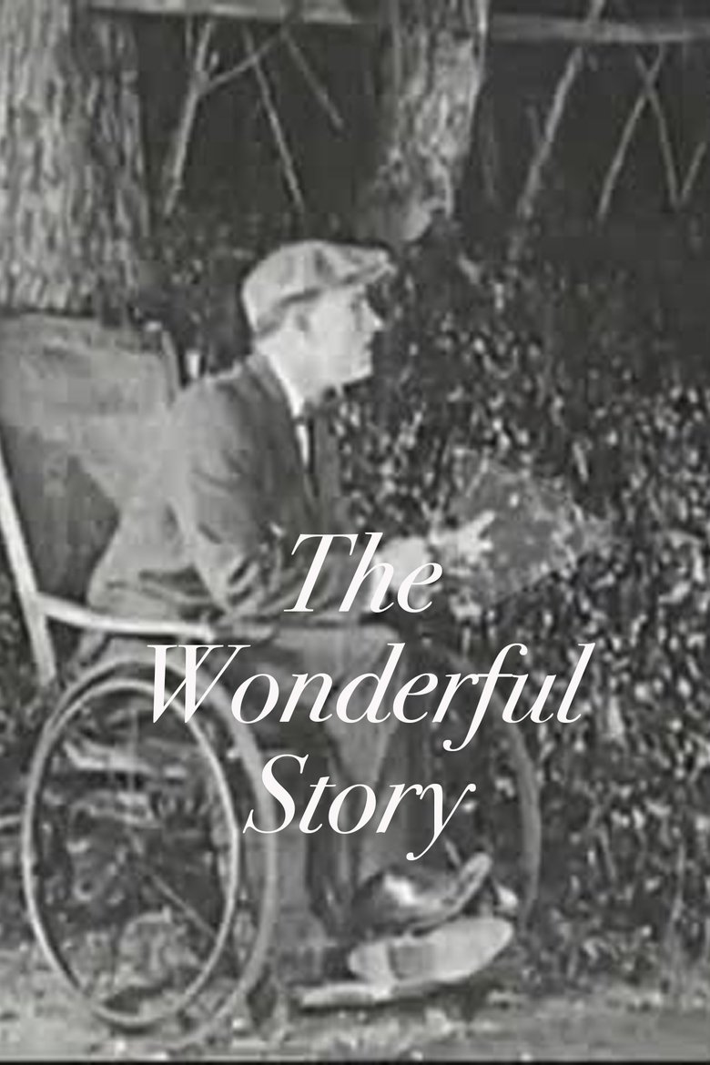 Poster of The Wonderful Story
