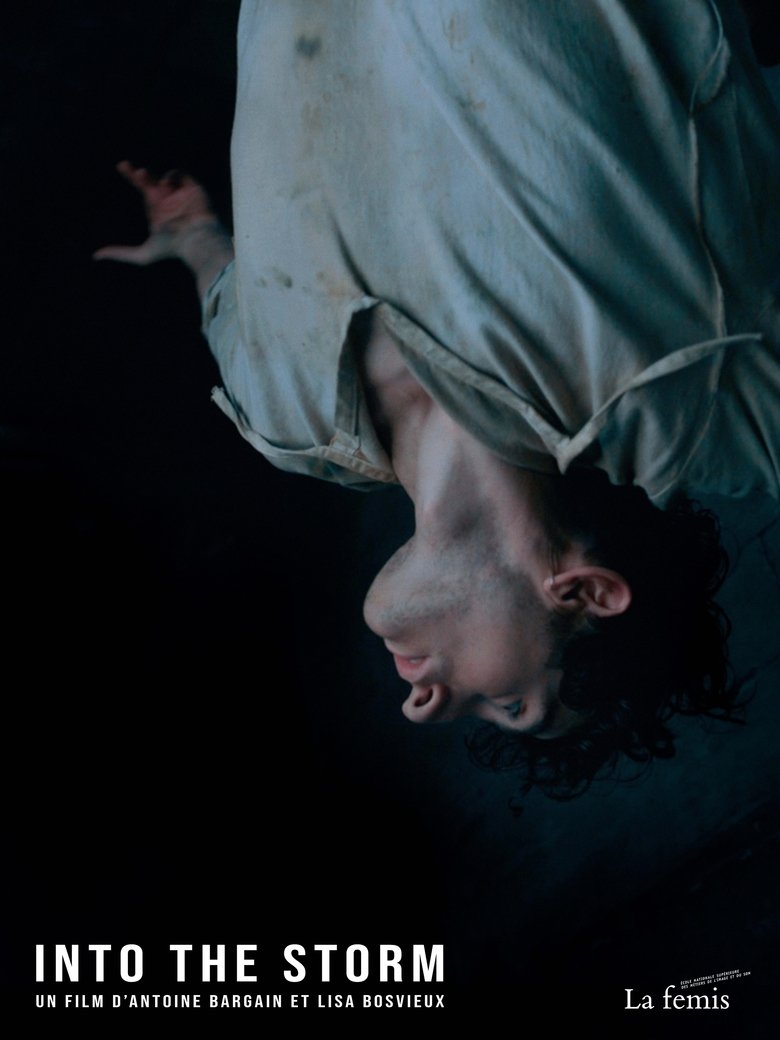 Poster of Into the Storm