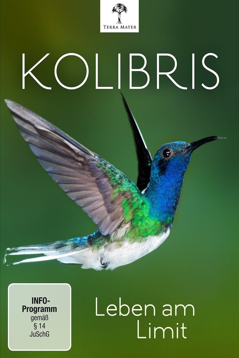 Poster of Kolibris - Leben am Limit