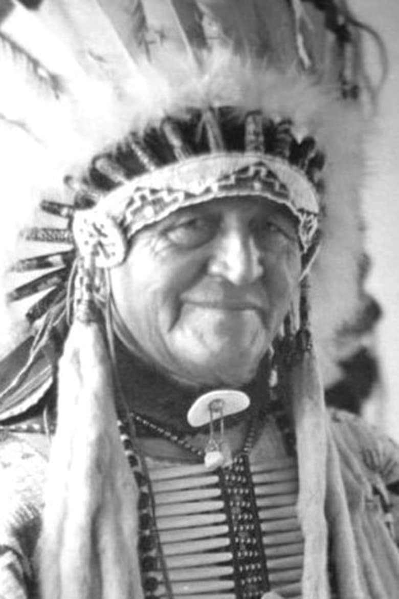 Portrait of Luther Standing Bear
