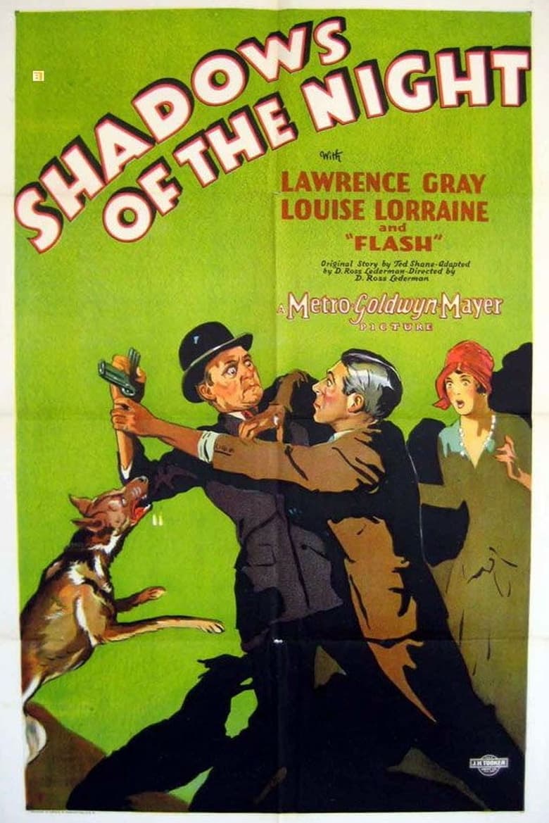 Poster of Shadows of the Night