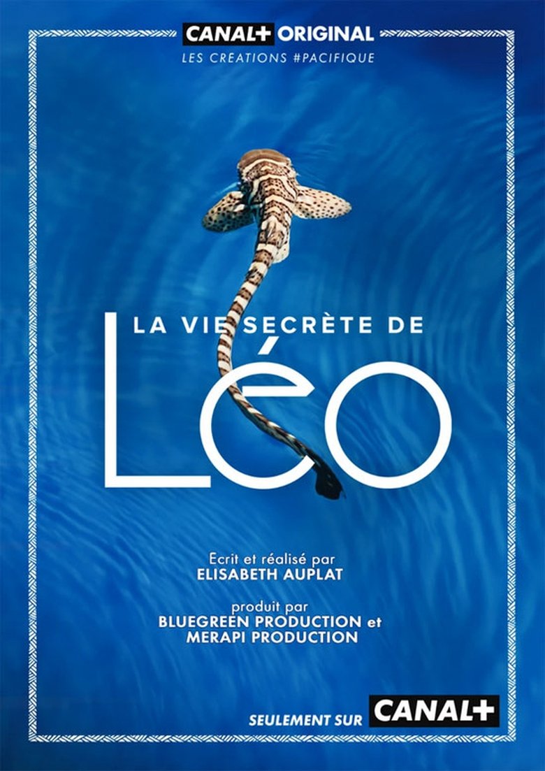 Poster of La Vie secrète de Léo
