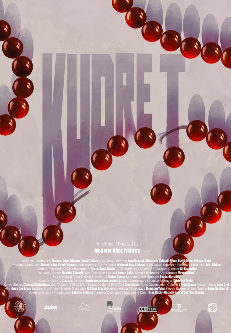 Poster of Kudret