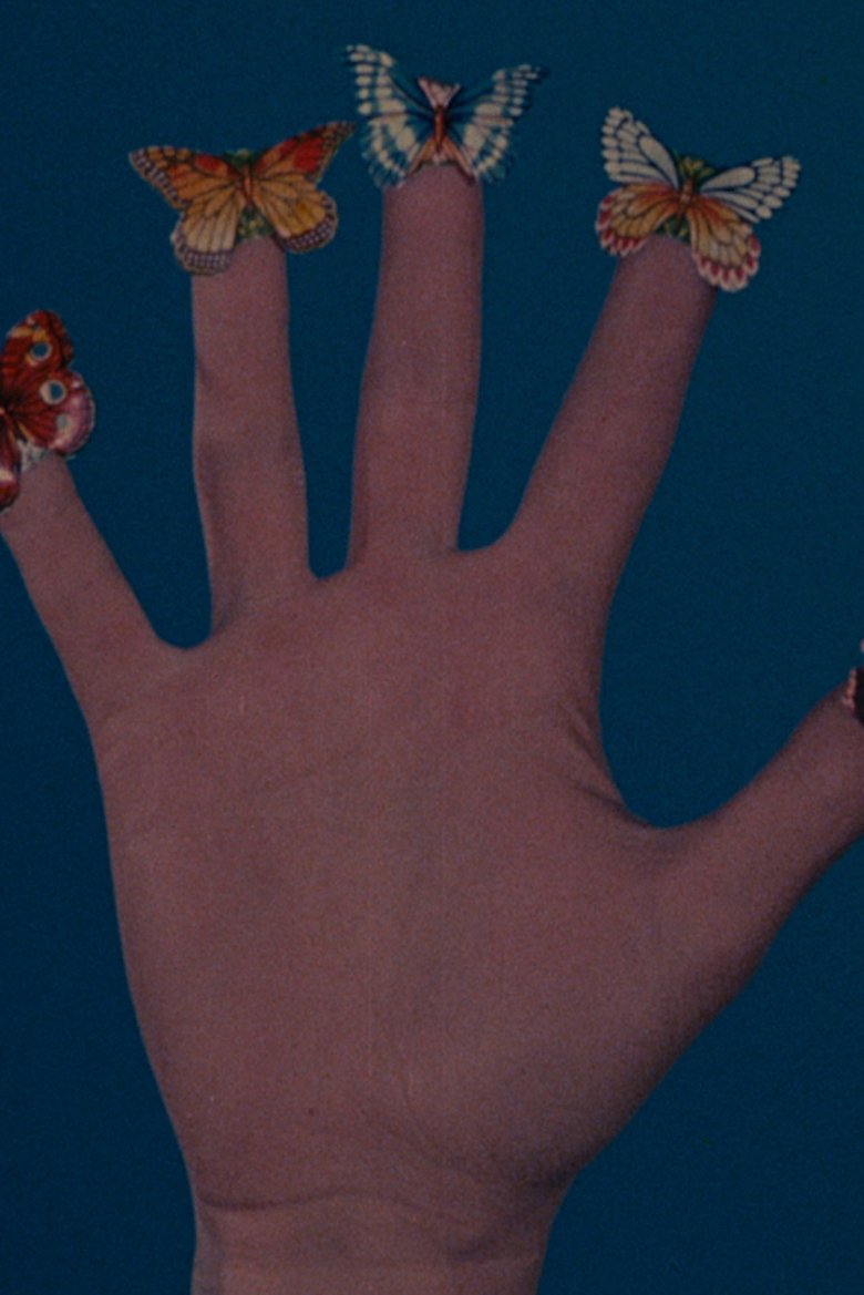 Poster of Some Butterflies