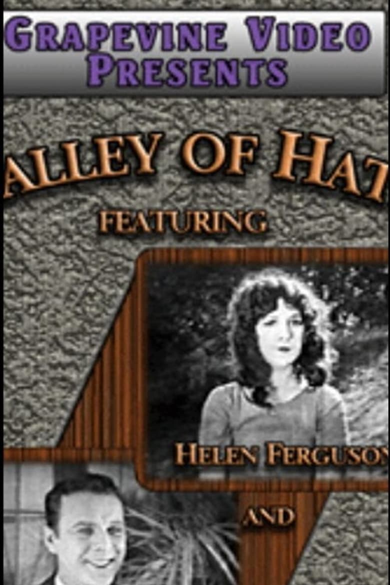 Poster of Valley of Hate