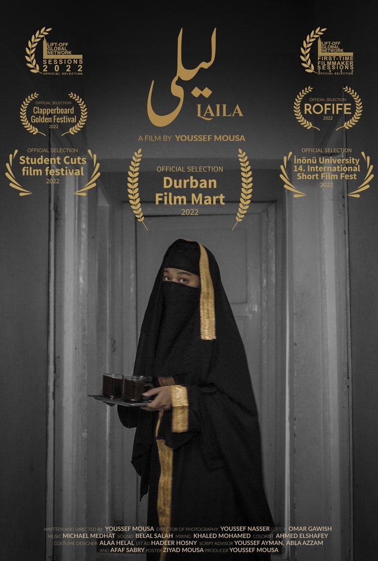 Poster of Laila