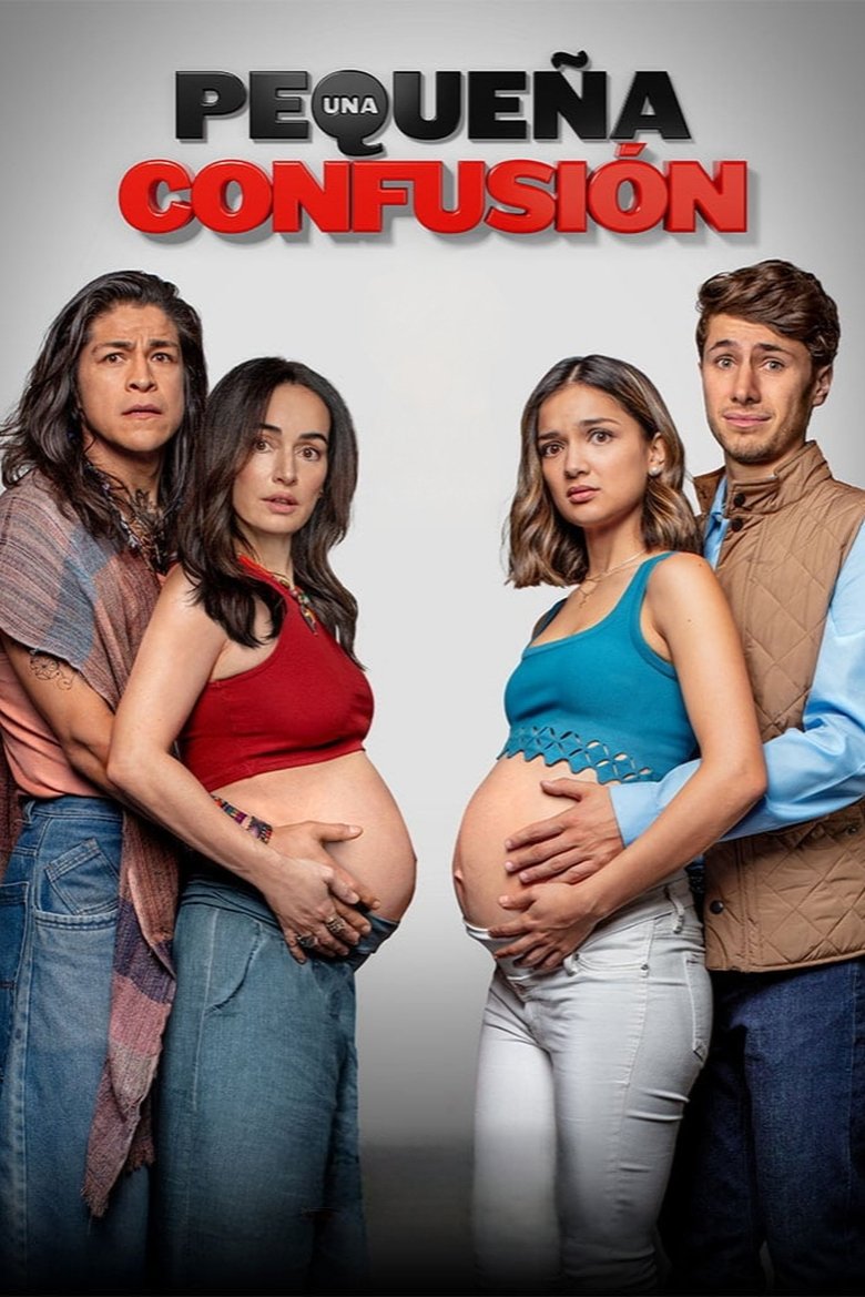 Poster of Una Pequeña Confusión