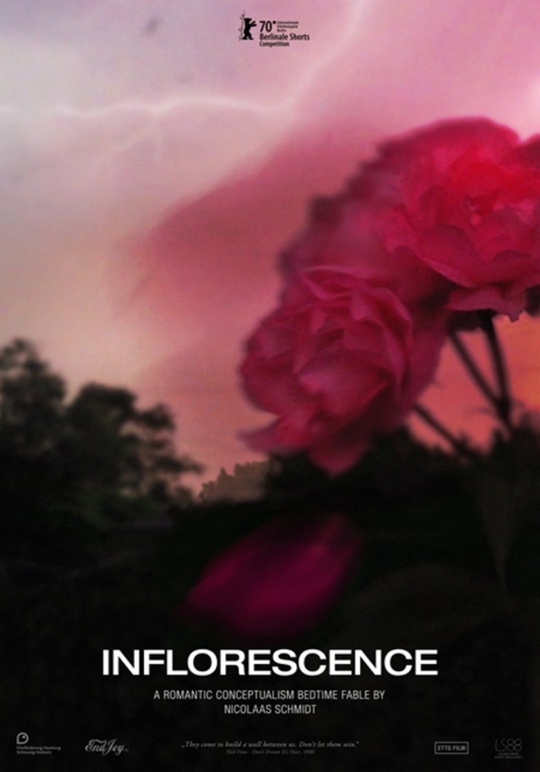 Poster of Inflorescence