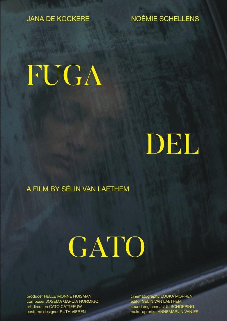 Poster of Fuga Del Gato