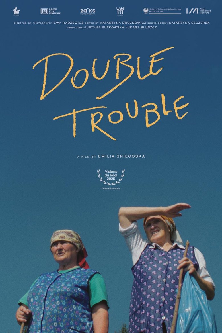 Poster of Double Trouble