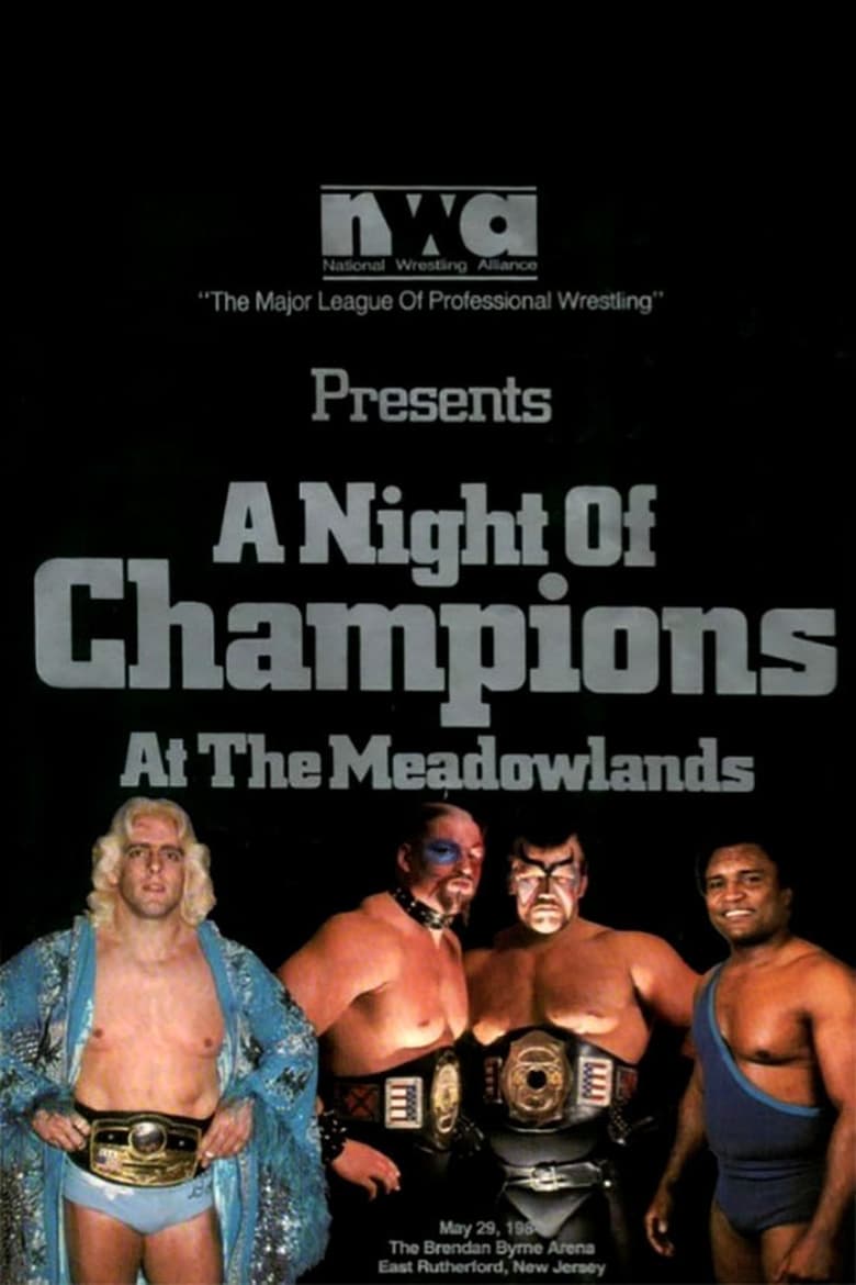 Poster of NWA Night of Champions