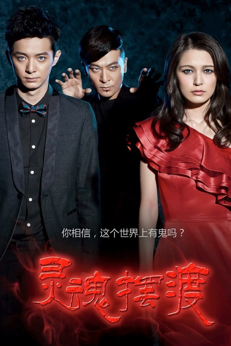 Poster of The Ferry Man