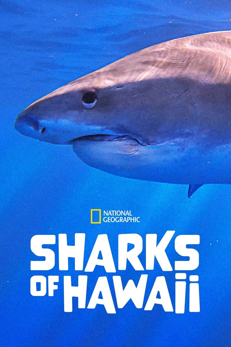 Poster of Sharks of Hawaii