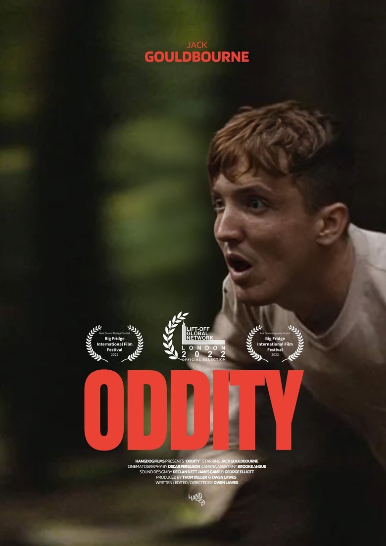 Poster of Oddity