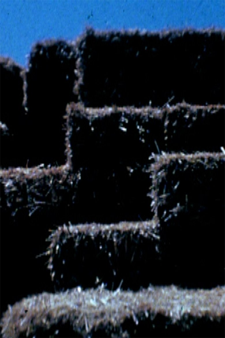 Poster of Hey!