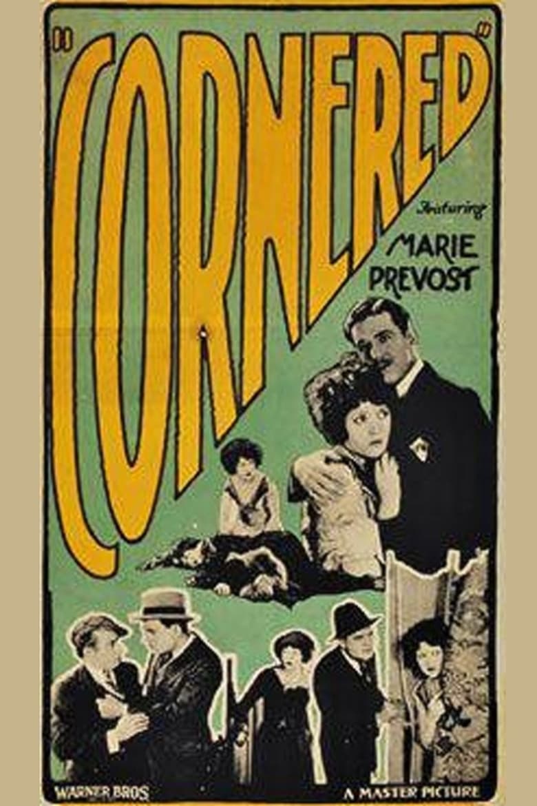 Poster of Cornered
